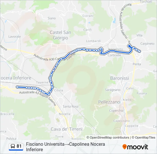 81 Bus Line Map