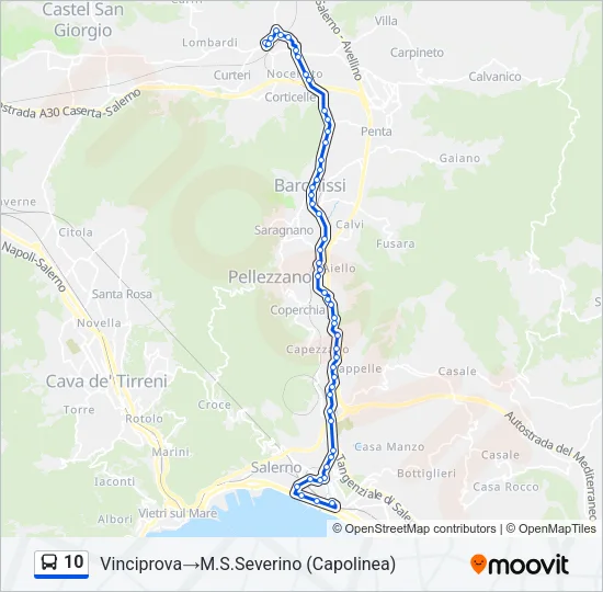 10 Bus Line Map