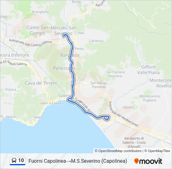 10 Bus Line Map