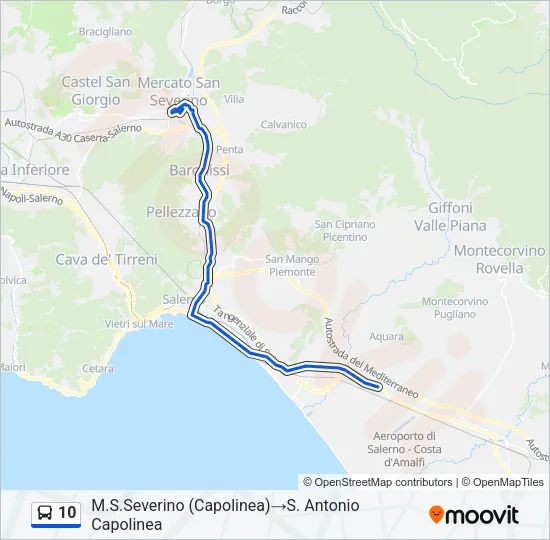 10 Bus Line Map