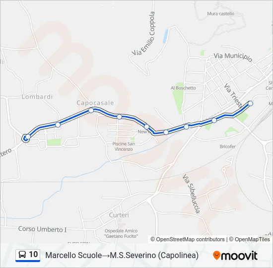 10 Bus Line Map