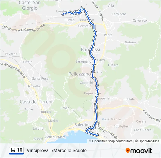 10 Bus Line Map