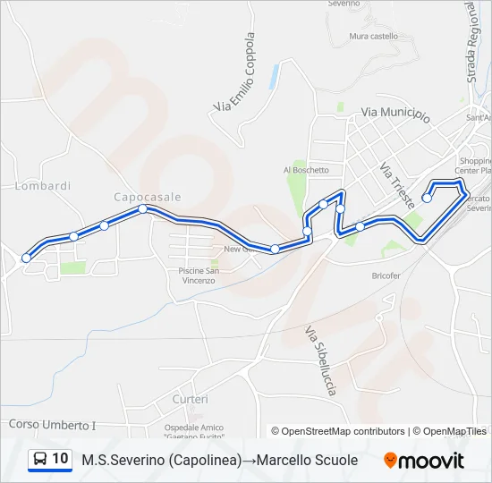 10 Bus Line Map
