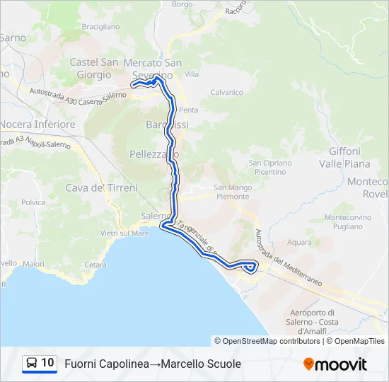 10 Bus Line Map