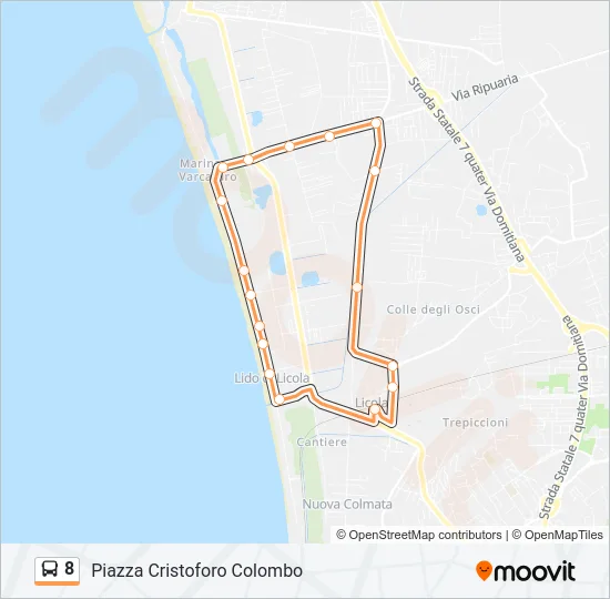 8 Bus Line Map