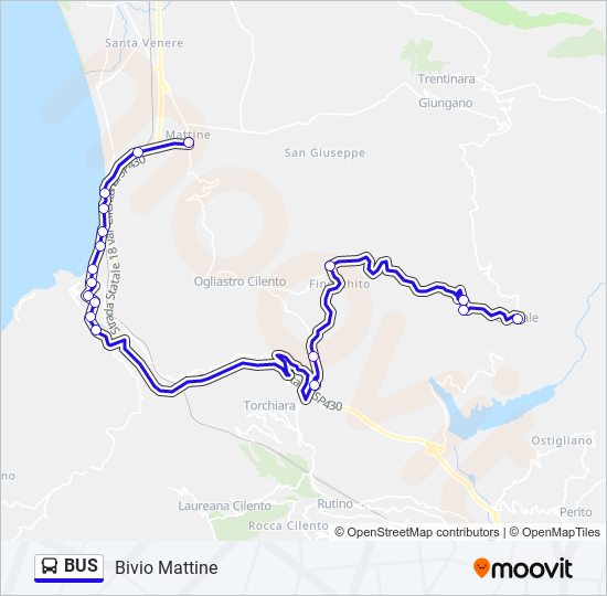 BUS Line Map