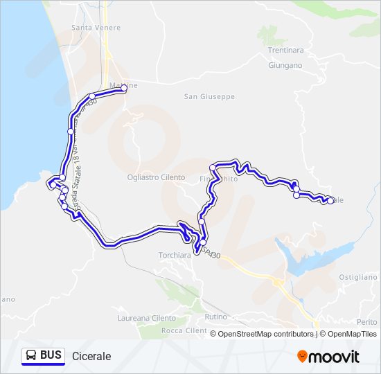 BUS Line Map