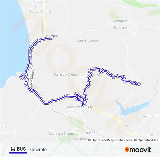 BUS Line Map
