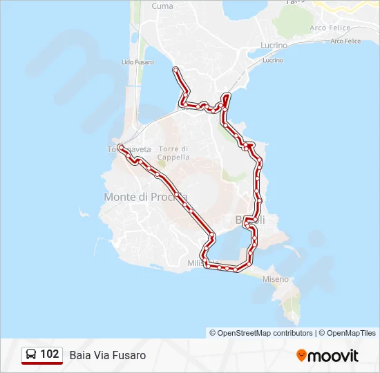 102 Route: Schedules, Stops & Maps - Baia Via Fusaro (Updated)