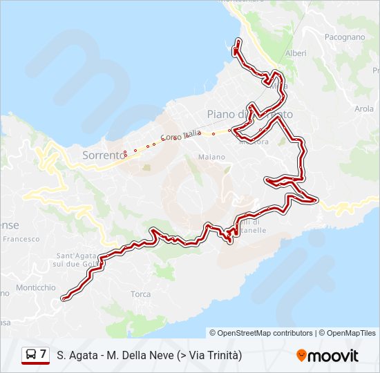 Percorso linea bus 7