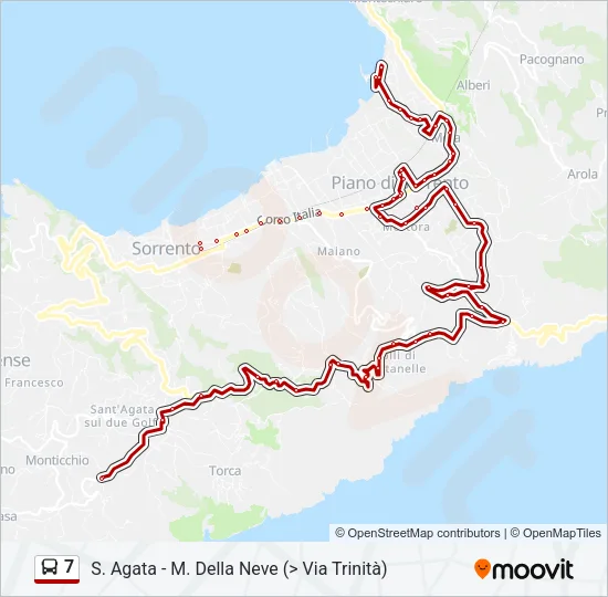 7 Bus Line Map