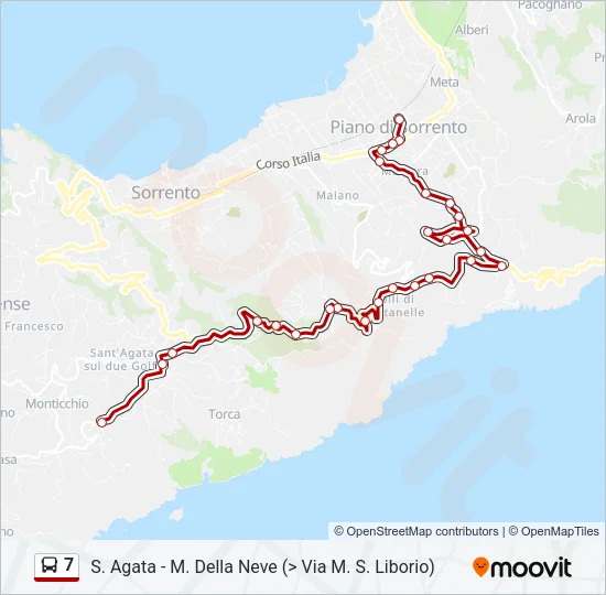 7 Bus Line Map