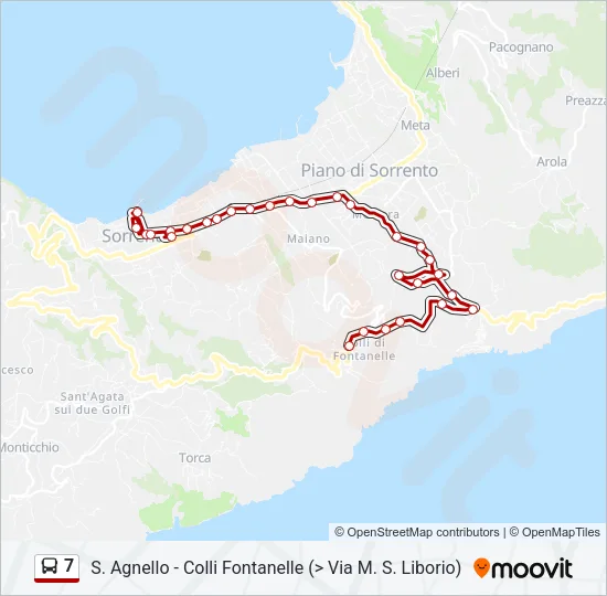 7 Bus Line Map
