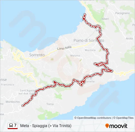 7 Bus Line Map