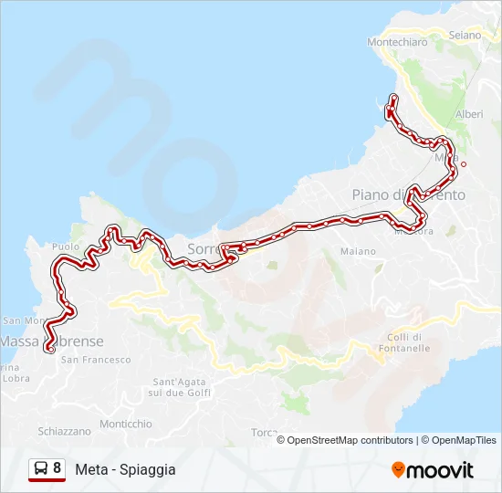 8 Bus Line Map
