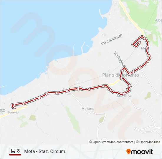 8 Bus Line Map