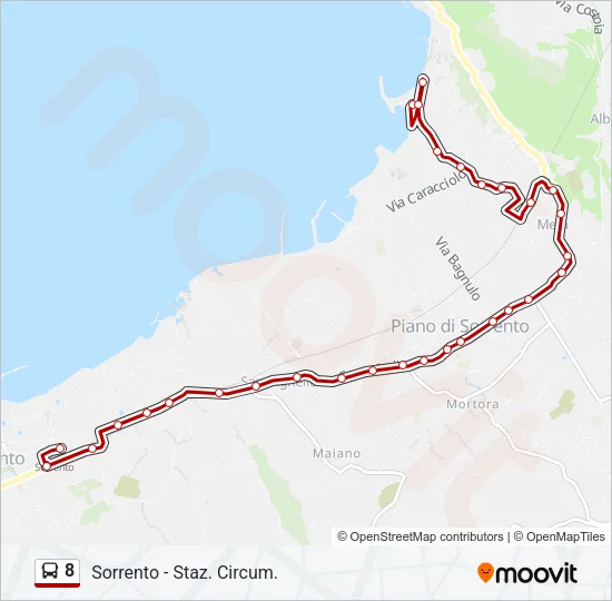 8 Bus Line Map