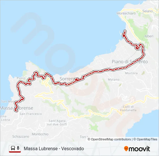 8 Bus Line Map