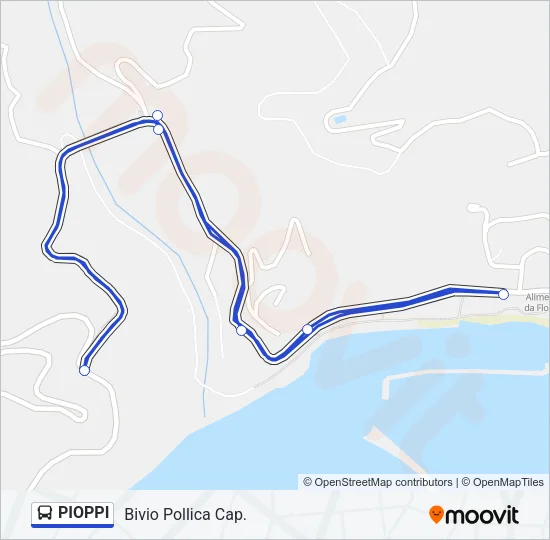 PIOPPI Bus Line Map