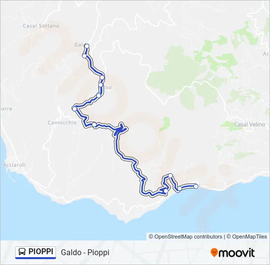 PIOPPI Bus Line Map