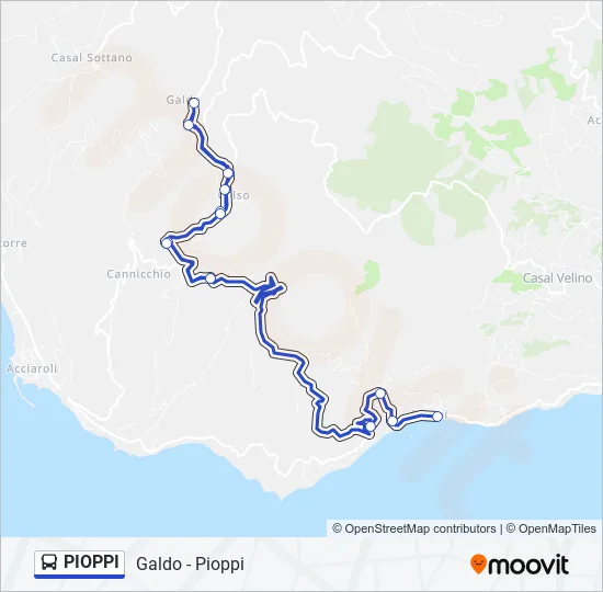 PIOPPI Bus Line Map