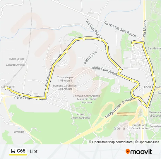 C65 Bus Line Map