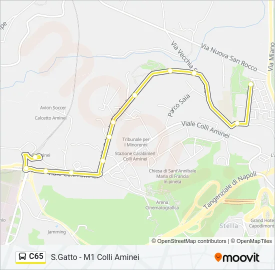 C65 Bus Line Map