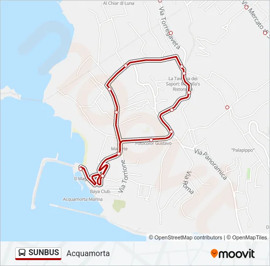 SUNBUS Bus Line Map