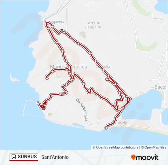 SUNBUS Bus Line Map