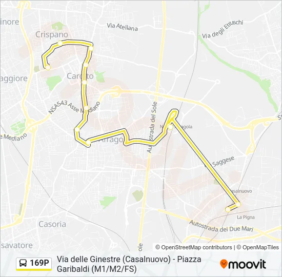 169P Bus Line Map