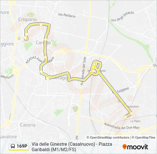 169P Bus Line Map