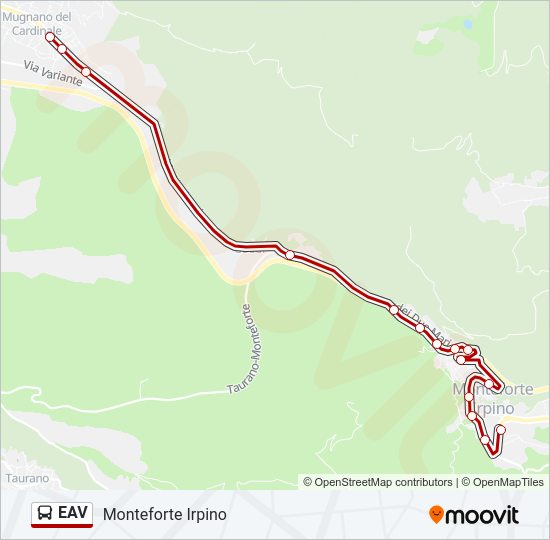 Percorso linea bus EAV