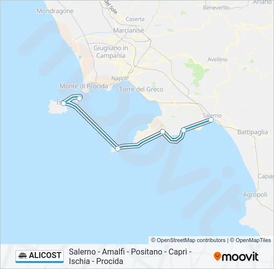 Percorso linea navigazione ALICOST