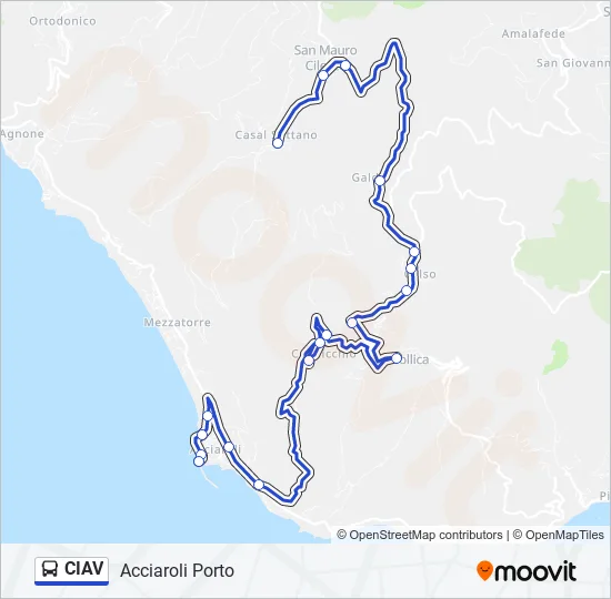 CIAV Bus Line Map