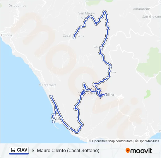 CIAV Bus Line Map