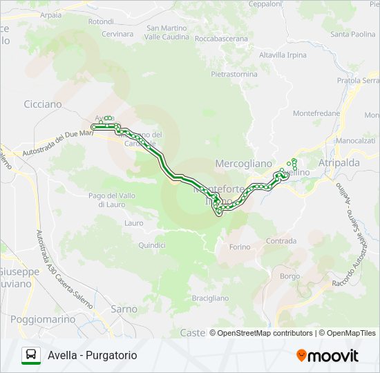 NO-AV S1 Bus Line Map