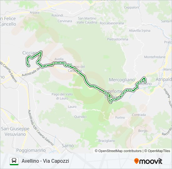NO-AV S1 Bus Line Map