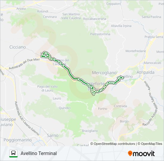 NO-AV S1 Bus Line Map