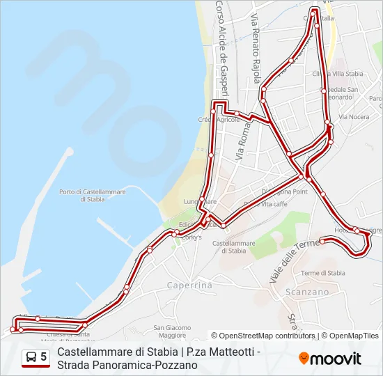 5 Bus Line Map