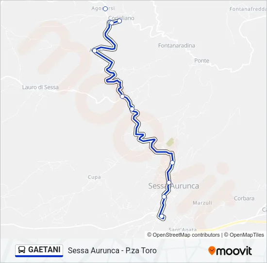 GAETANI Bus Line Map