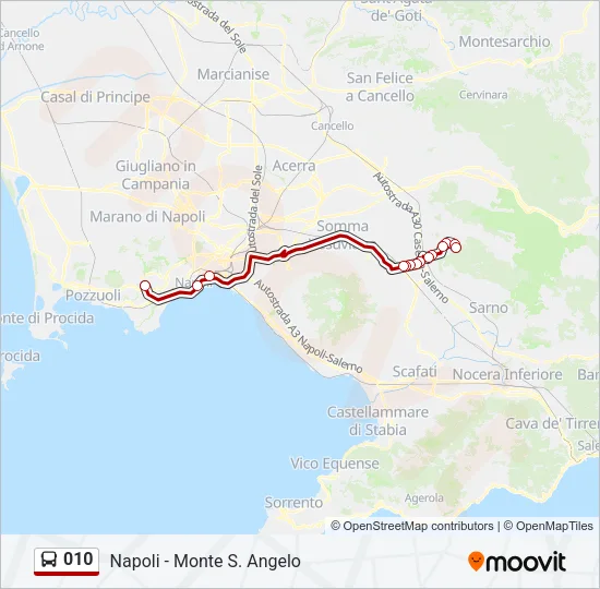 010 Bus Line Map