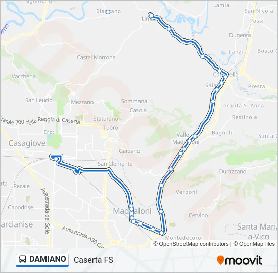 DAMIANO Bus Line Map