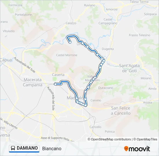 DAMIANO Bus Line Map
