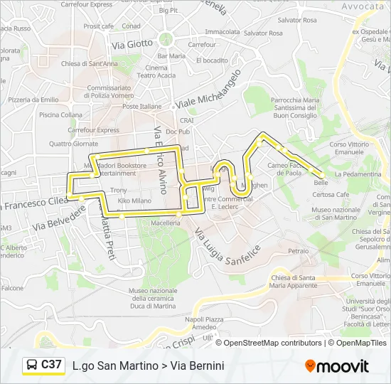 C37 Bus Line Map