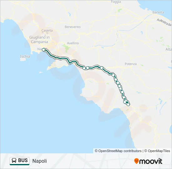 BUS Line Map