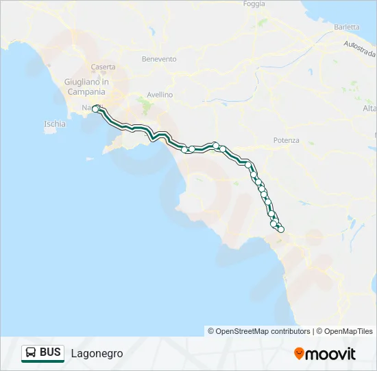 BUS Line Map