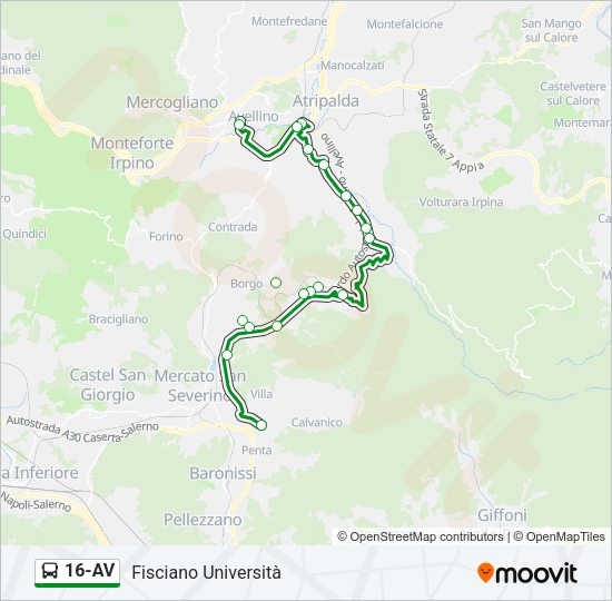 16-AV Bus Line Map