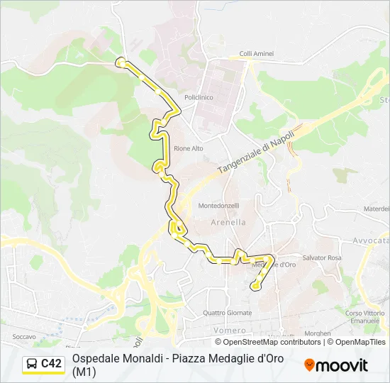 C42 Bus Line Map