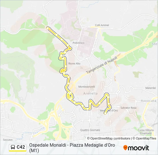 C42 Bus Line Map