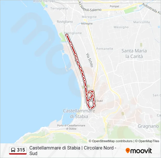 315 Route: Schedules, Stops & Maps - Novartis (Updated)